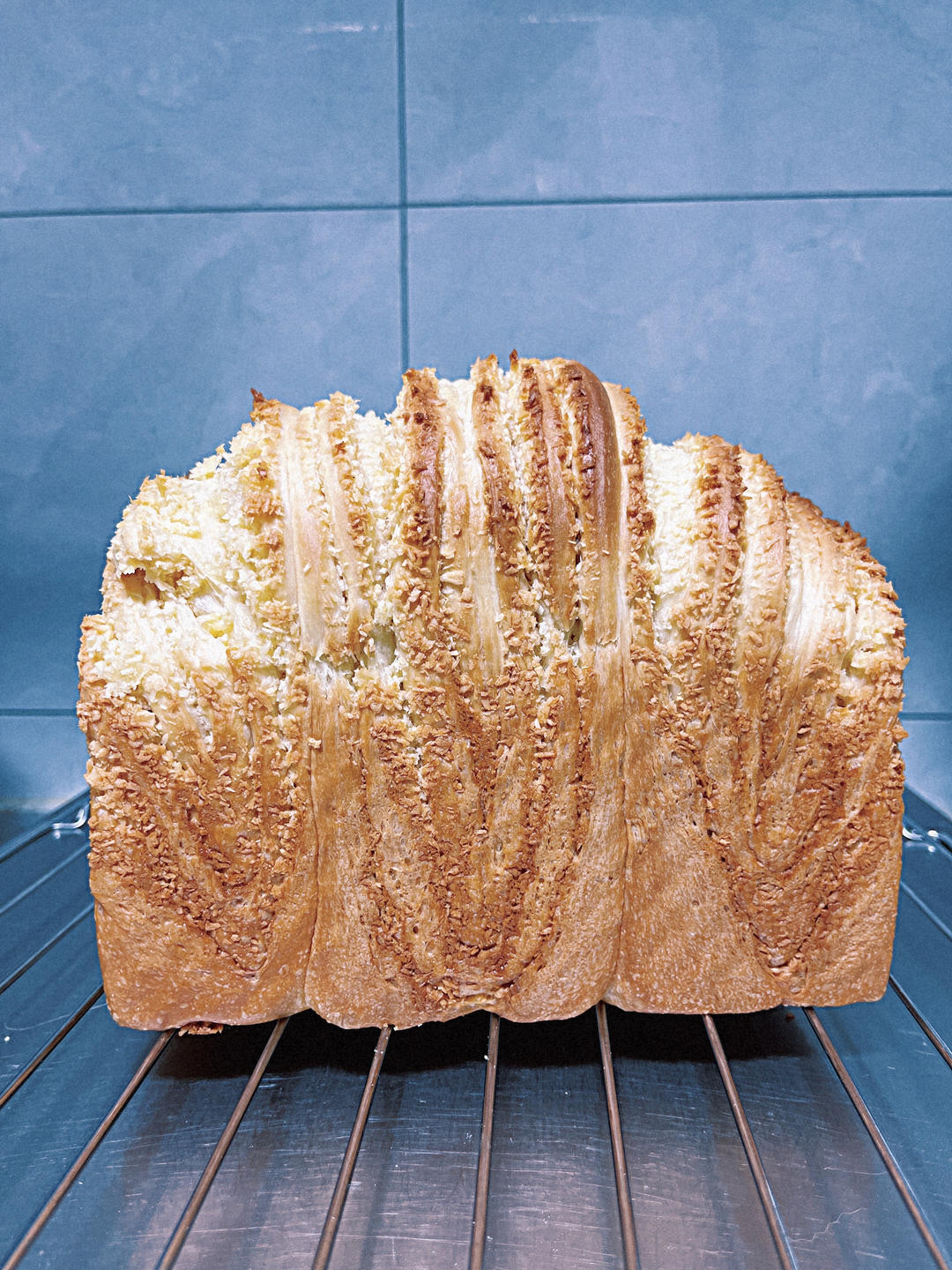 椰香浓郁🍞椰蓉吐司