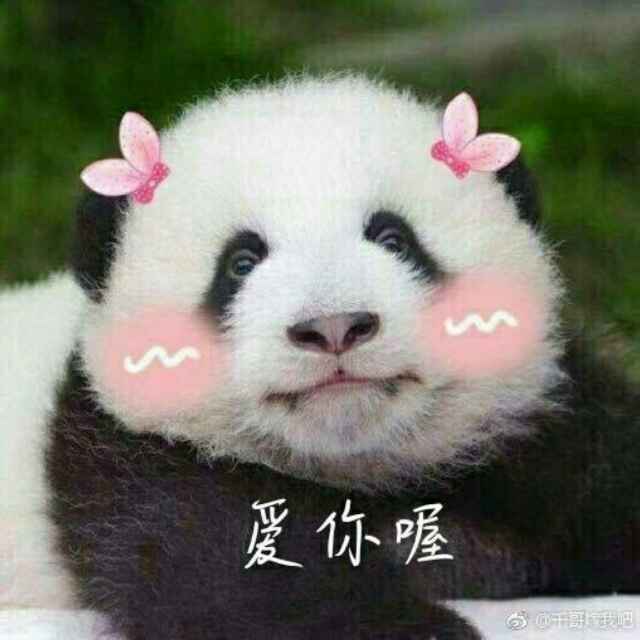 巫 疑