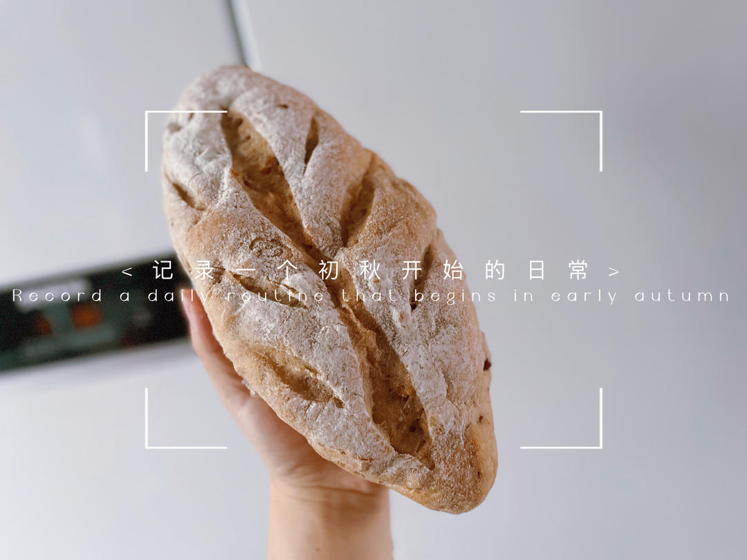 全麦蔓越莓核桃软欧包