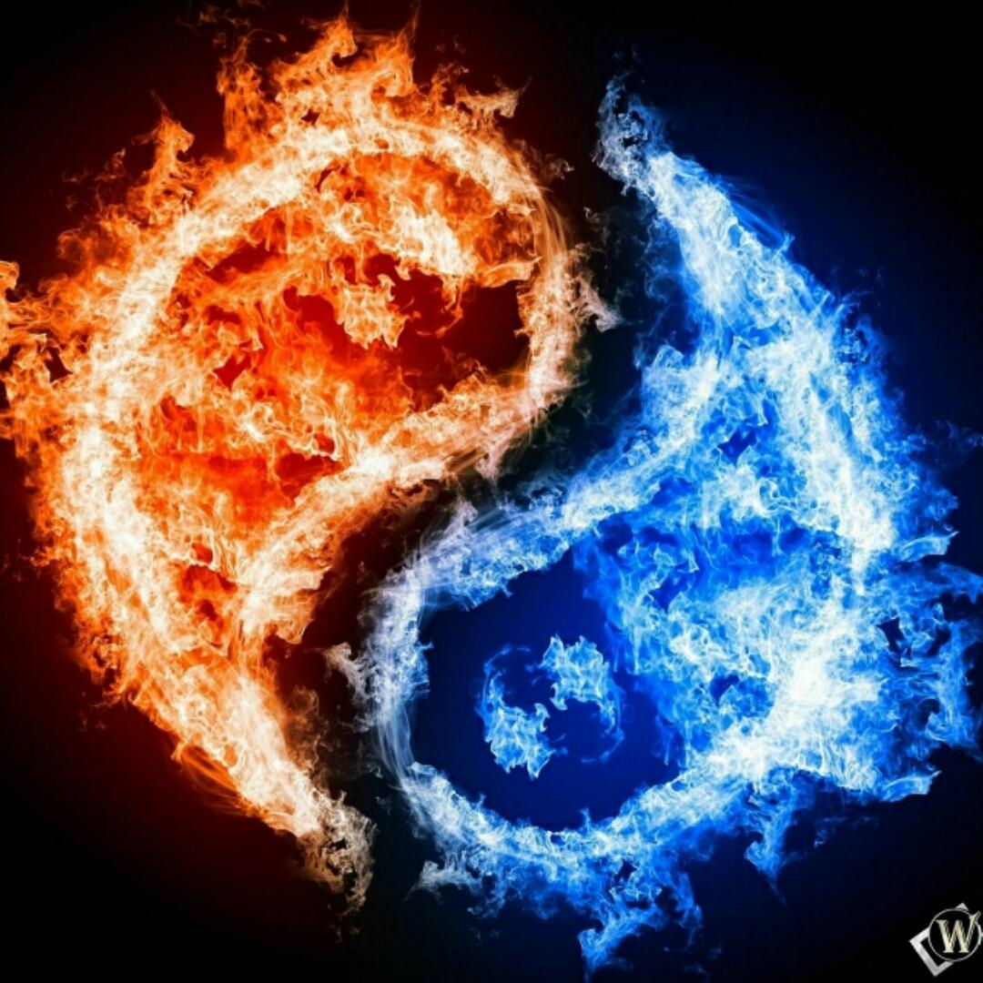 繁花柳絮随风起