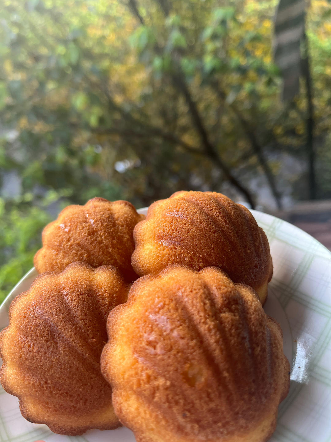 浑身文艺气质的甜点——柠檬玛德琳