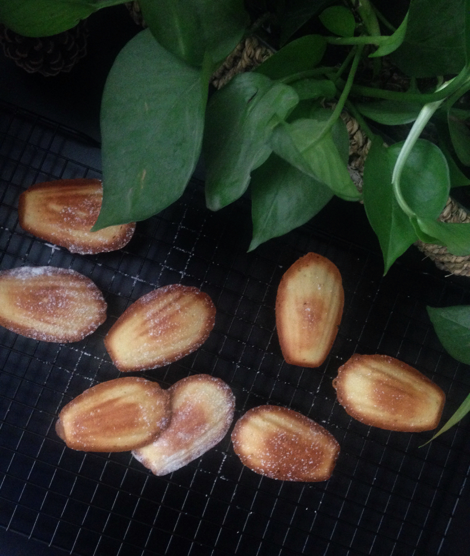 玛德琳（蓝带方）