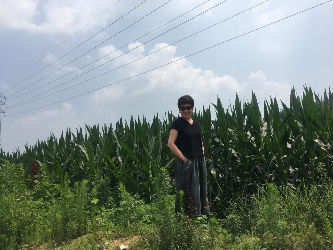 美味是清欢