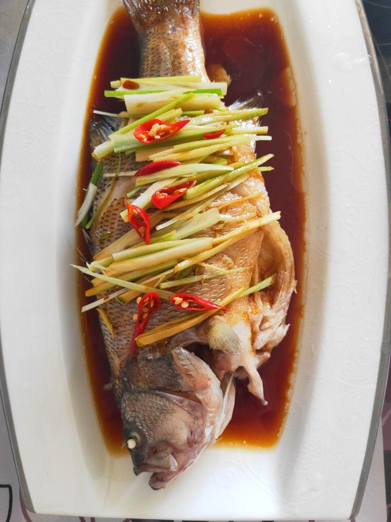 清蒸鱼（鲈鱼/多宝鱼/桂花鱼/石斑鱼……）