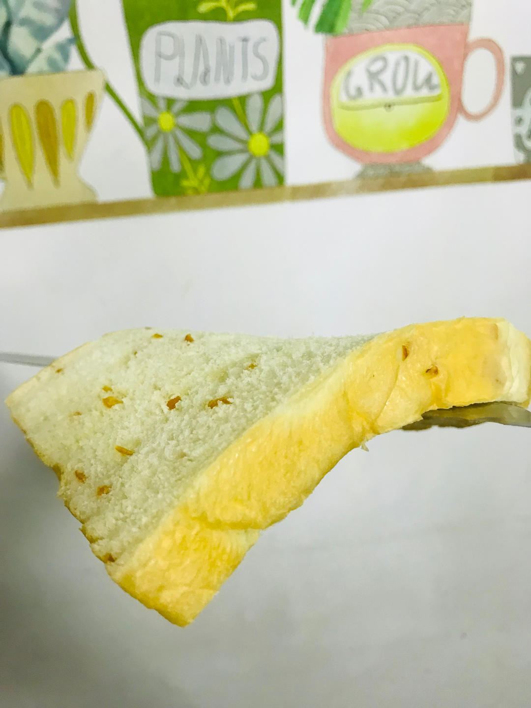 汤种橙皮吐司【风炉食谱】