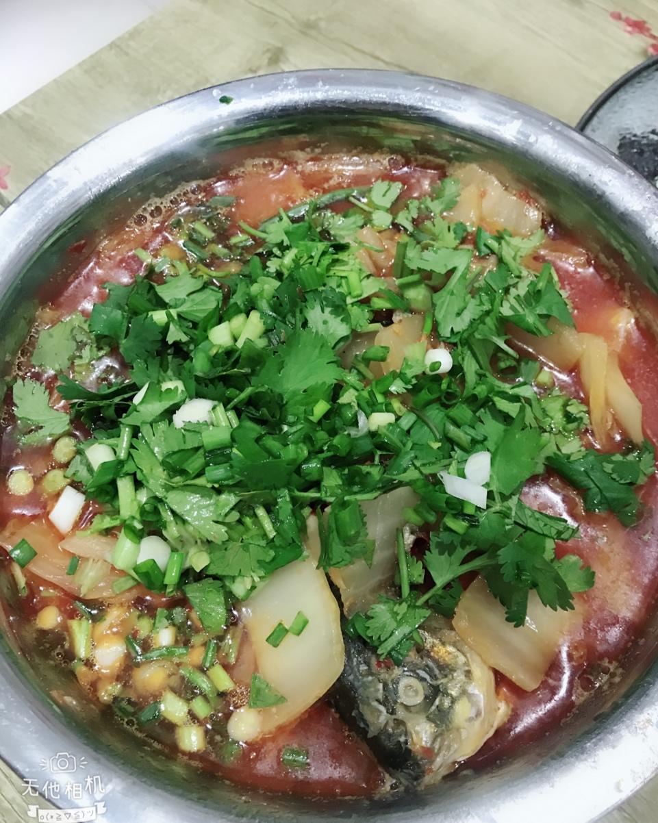 泡菜鱼