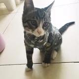 你娘个腿儿