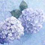 小小耳东
