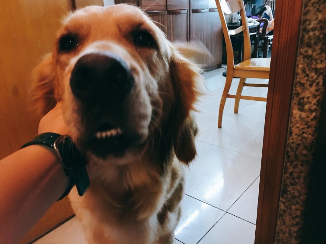 烤鸡翅（烤箱版）