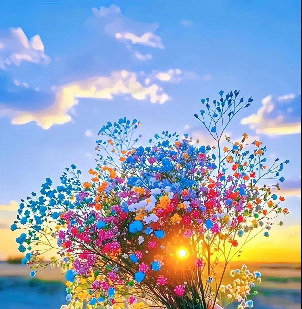 爱吃美食的小鱼鱼