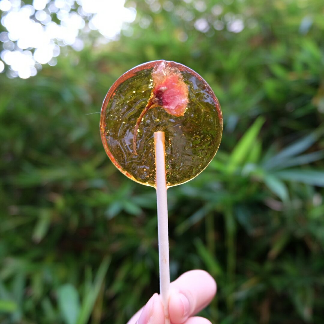 jacob_wong做的樱花棒棒糖