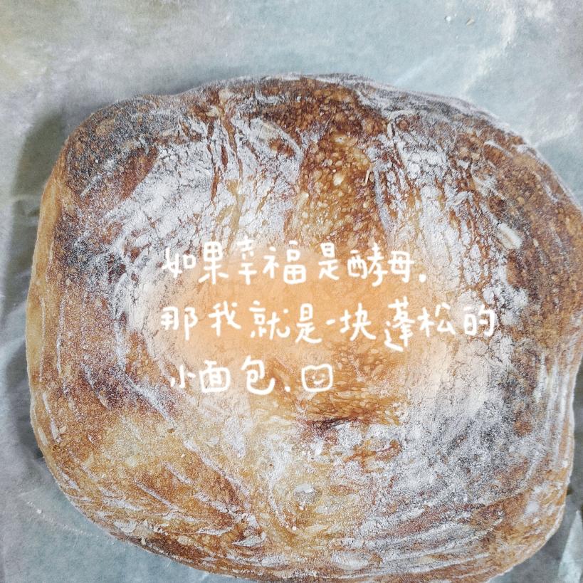 超详细视频版免揉基础欧包（T65）
