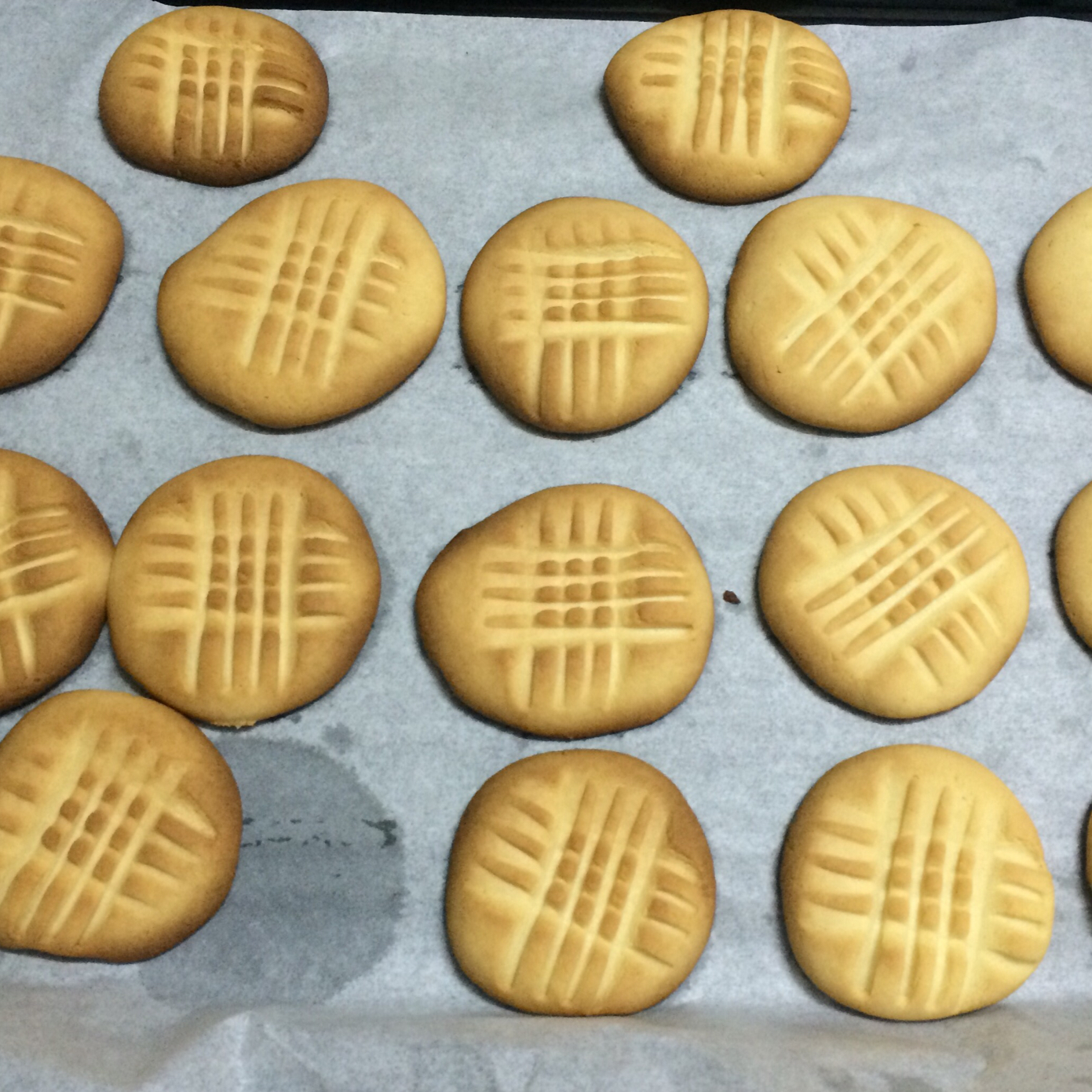 牛奶饼干