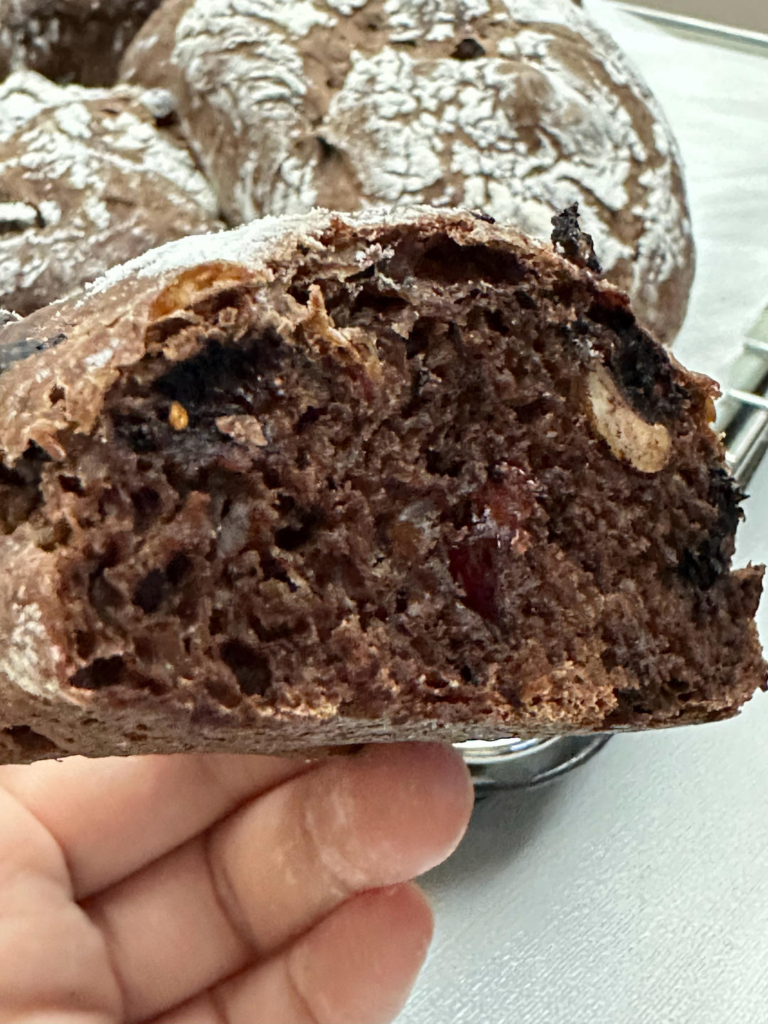 布朗尼面包是什么味儿？到底还不好吃！