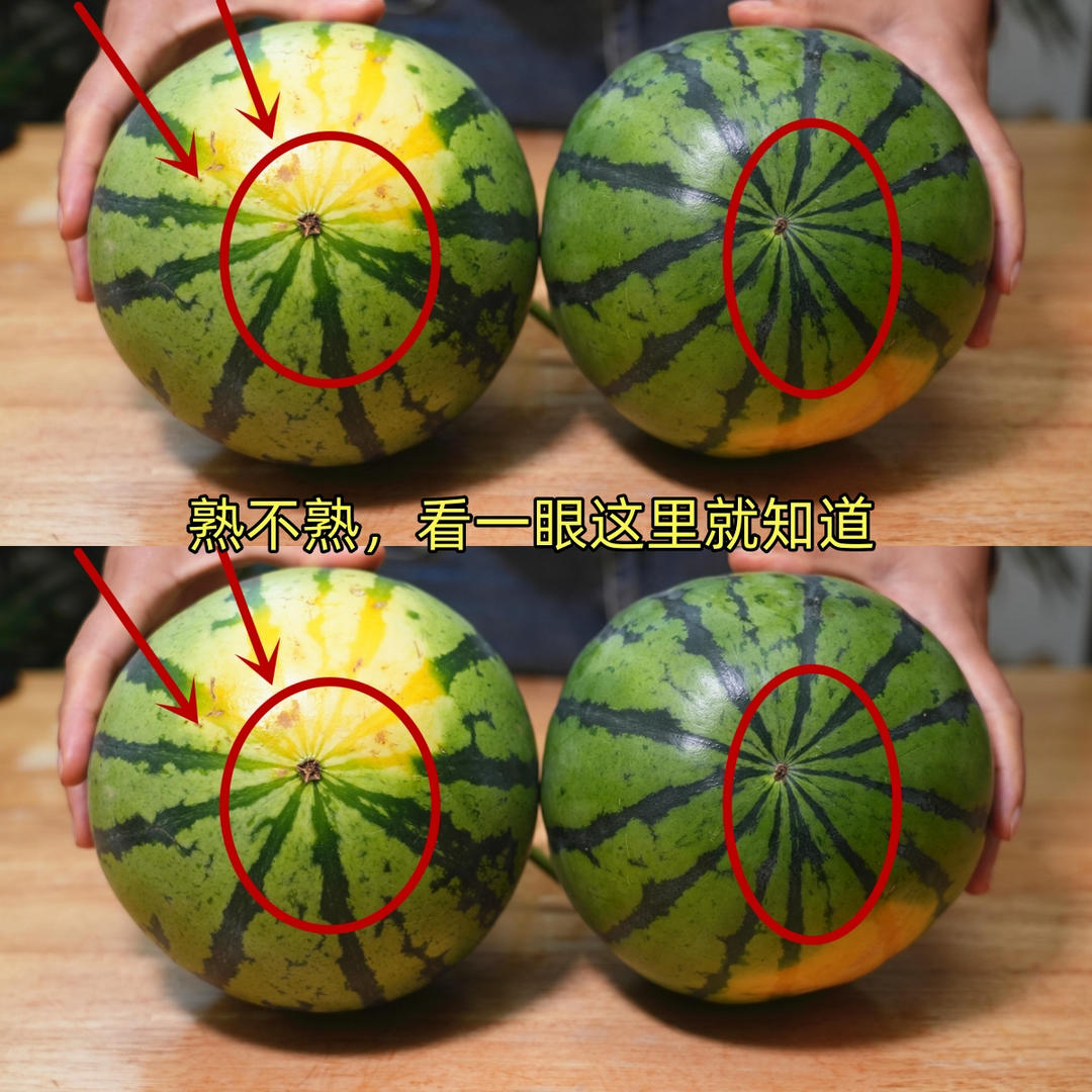 西瓜熟不熟，看一眼这里就知道，一挑一个准，老瓜农的方法真管用