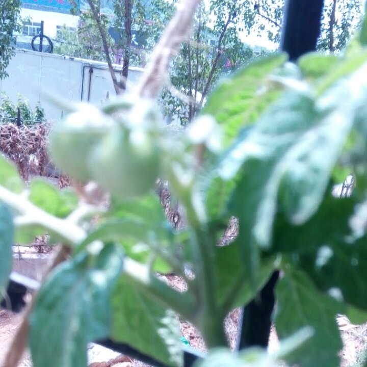 乱入