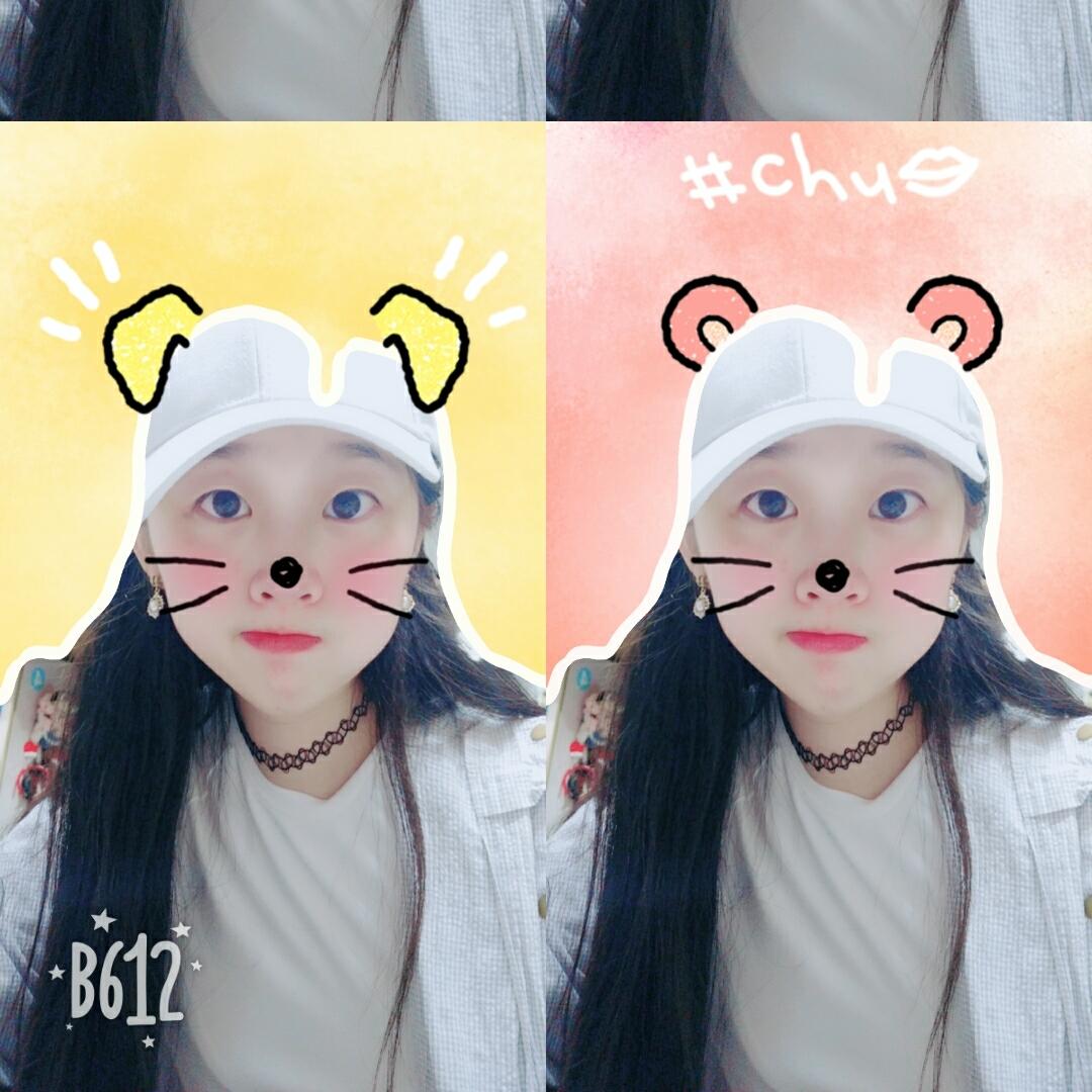 洒落在半空的花