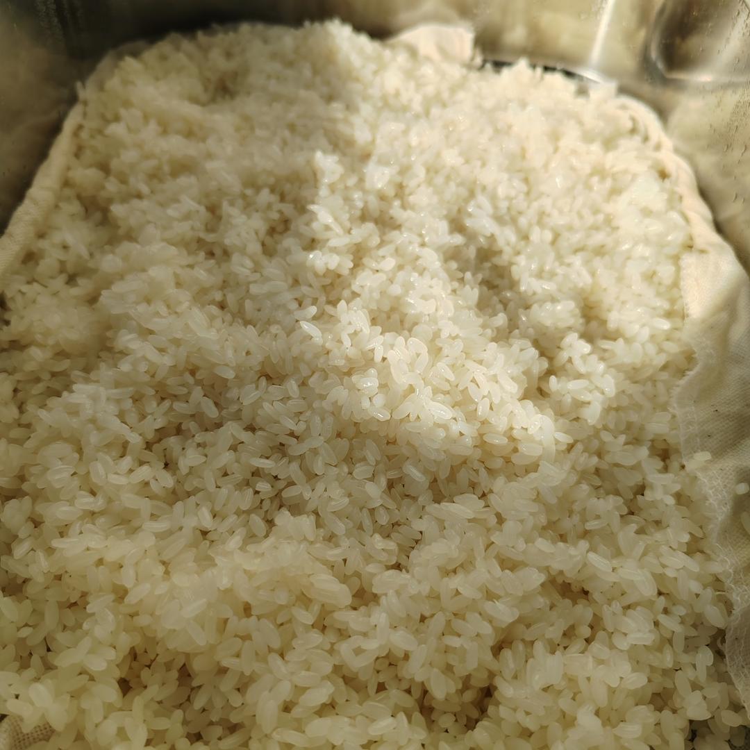 酒酿 (酒酿系列一）