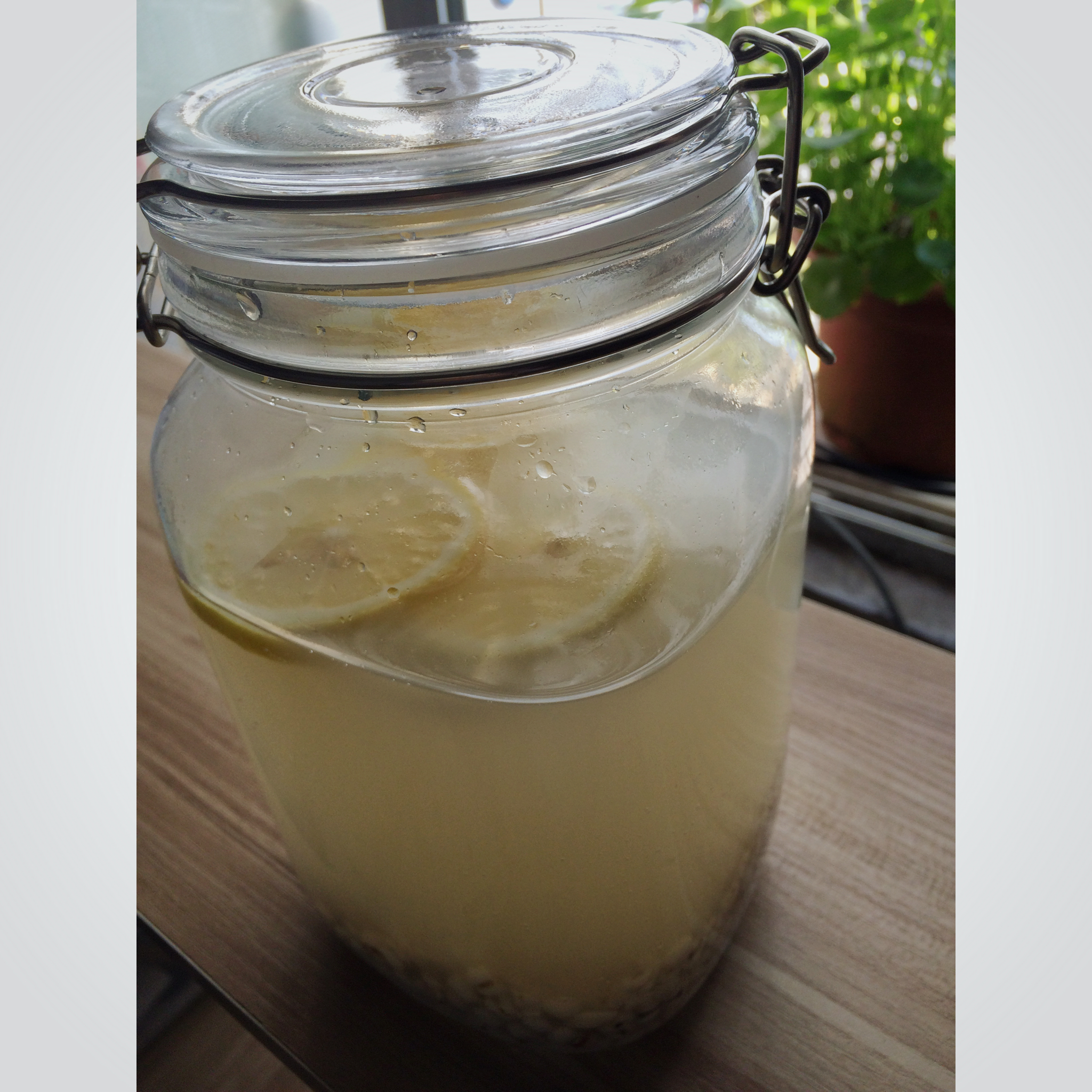 柠檬薏米水
