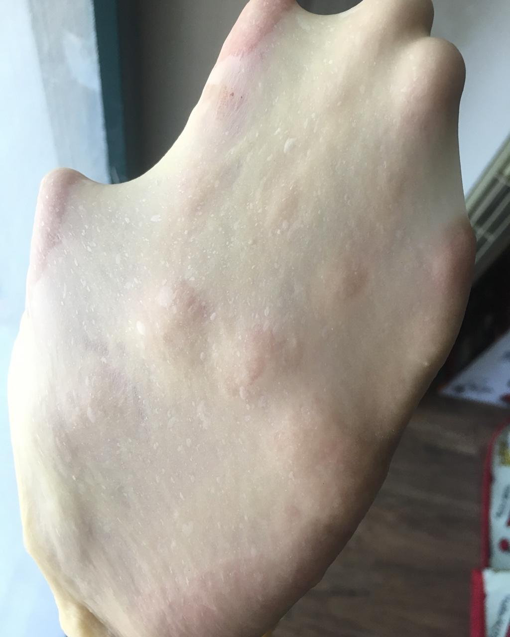 夺命软吐司(๑´ڡ`๑)超软拉丝极速方便的一次发酵吐司