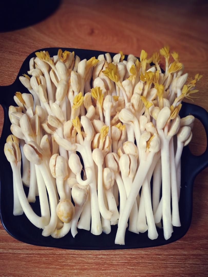 蚝油炒花生芽