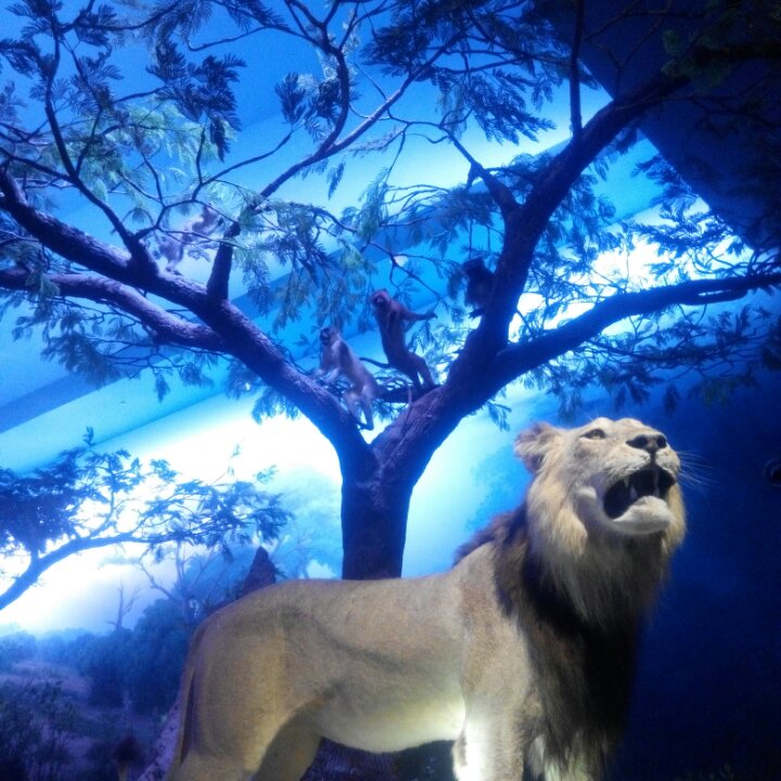 手机用户1009_ange