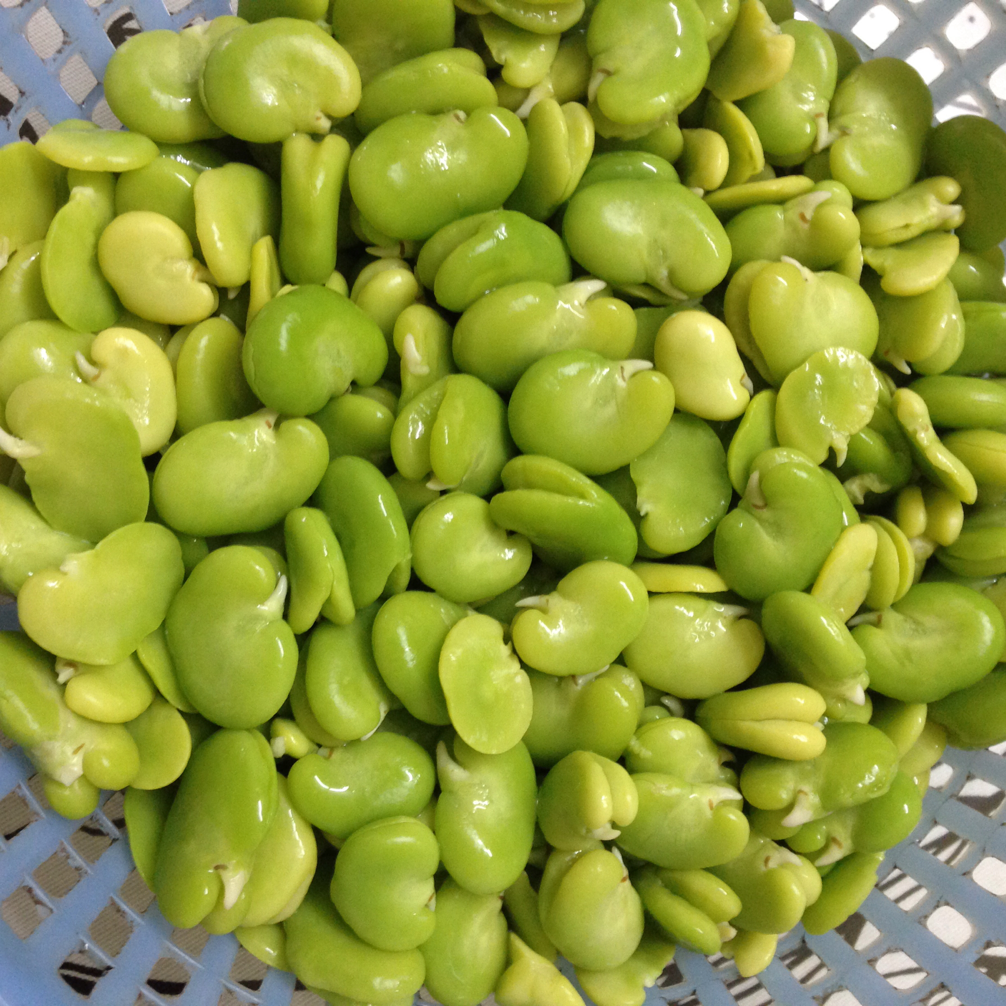 幸福快乐的北方人做的蚕豆去皮儿