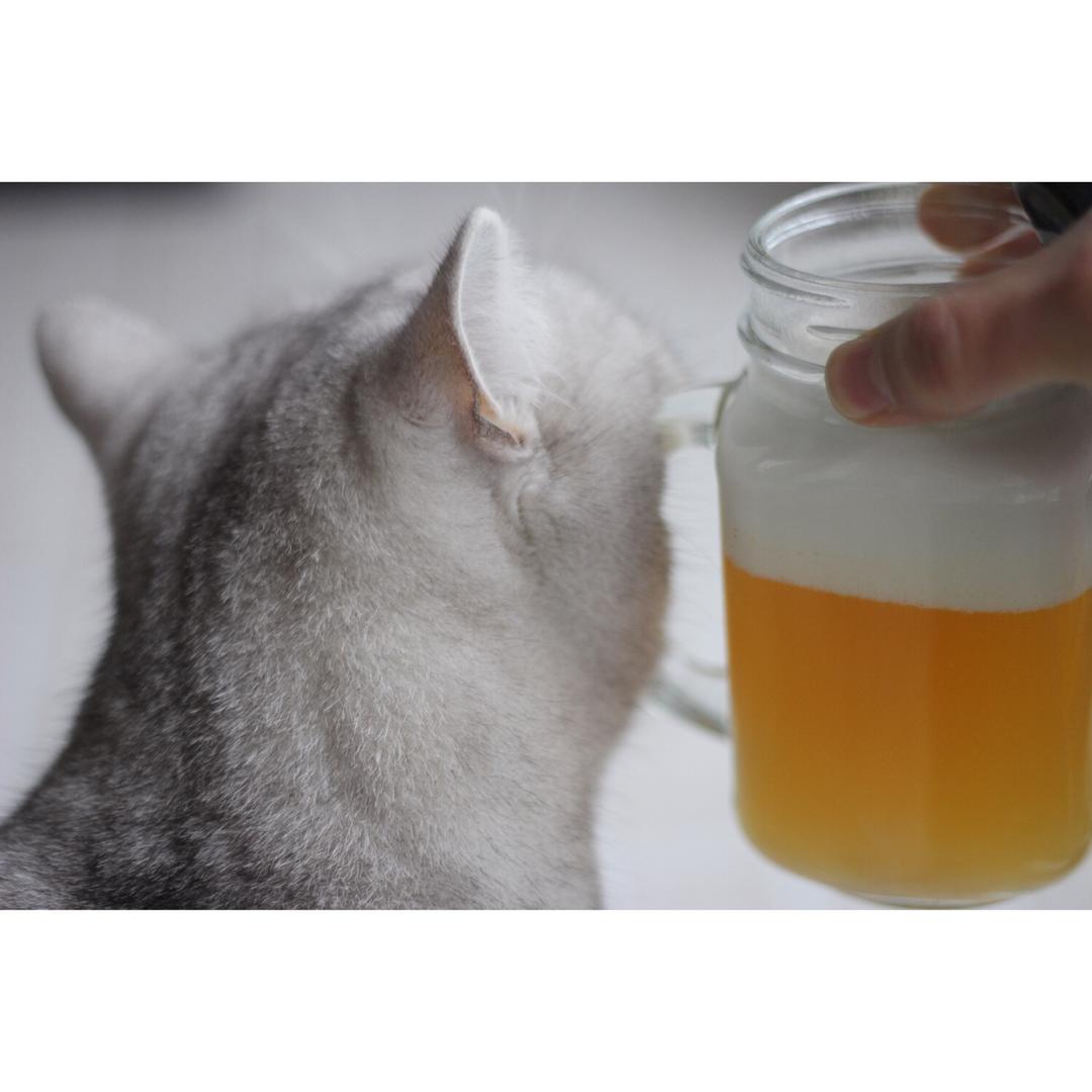 自制奶盖做法大公开