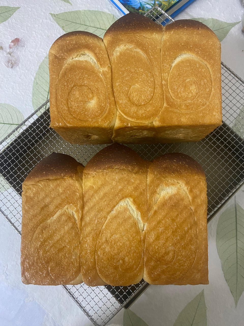 港式吐司十岁了