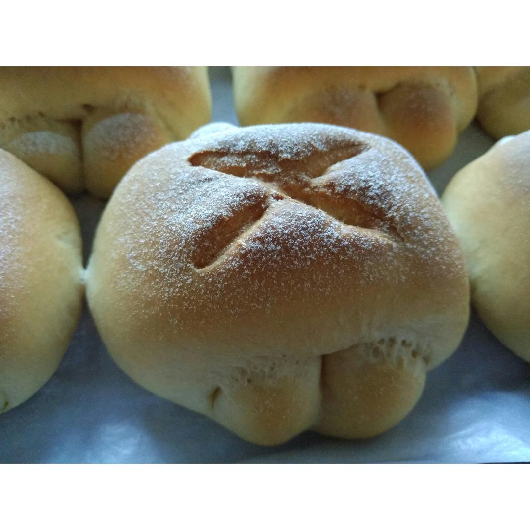 牛奶面包---5°冷藏基础发酵