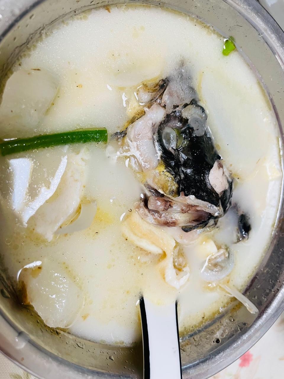 鱼头天麻豆腐汤的做法