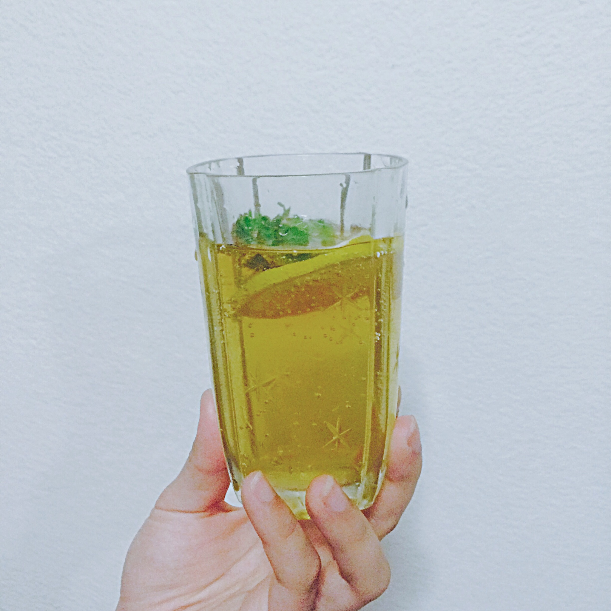 古巴鸡尾酒mojito