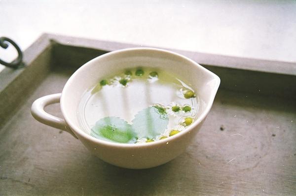 自己种茶喝之柠檬甘菊花草茶的做法