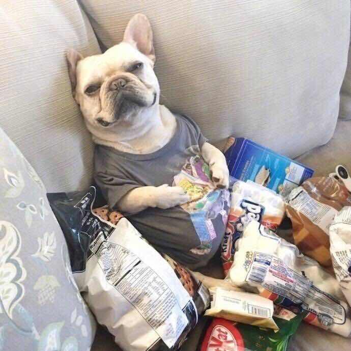 西瓜的爱人叫夏天1993