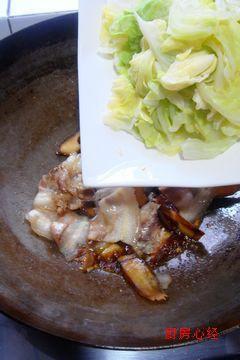 圆白菜回锅肉的做法 步骤6