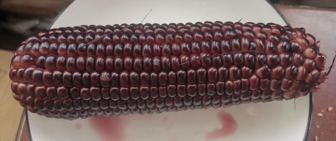 蒸玉米
