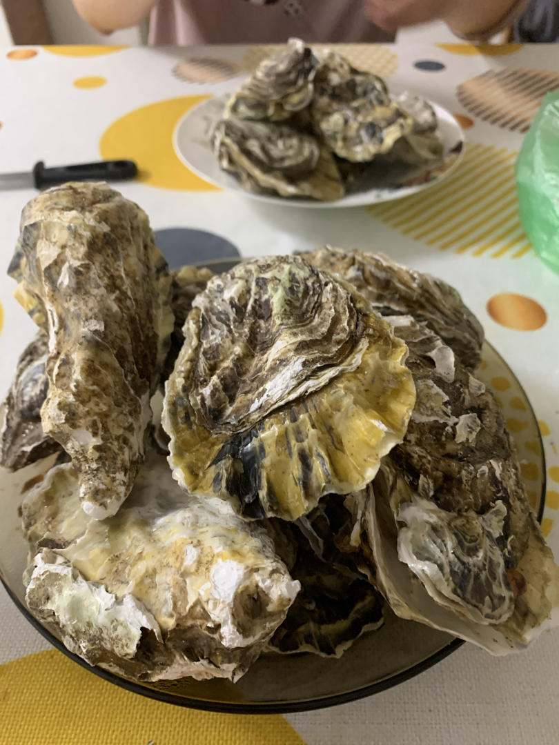 简单3分钟蒸生蚝🦪