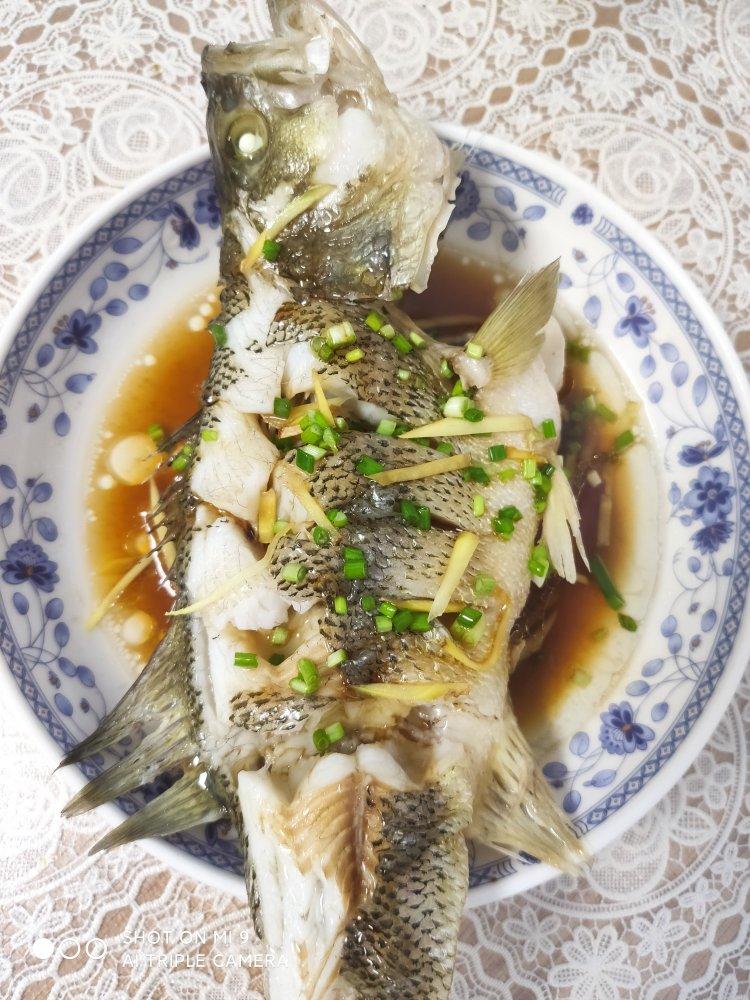 清蒸鲈鱼