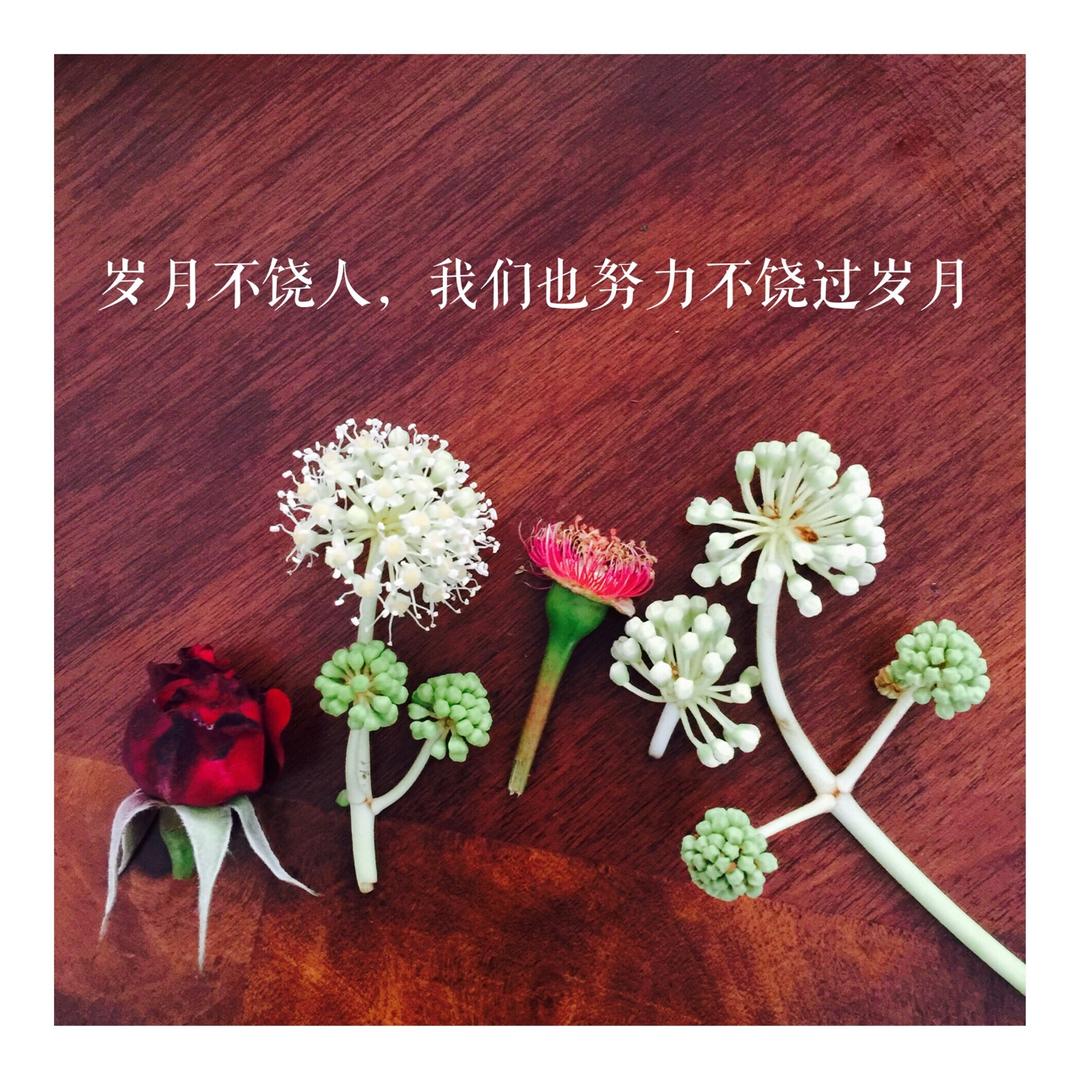 美芽的厨房