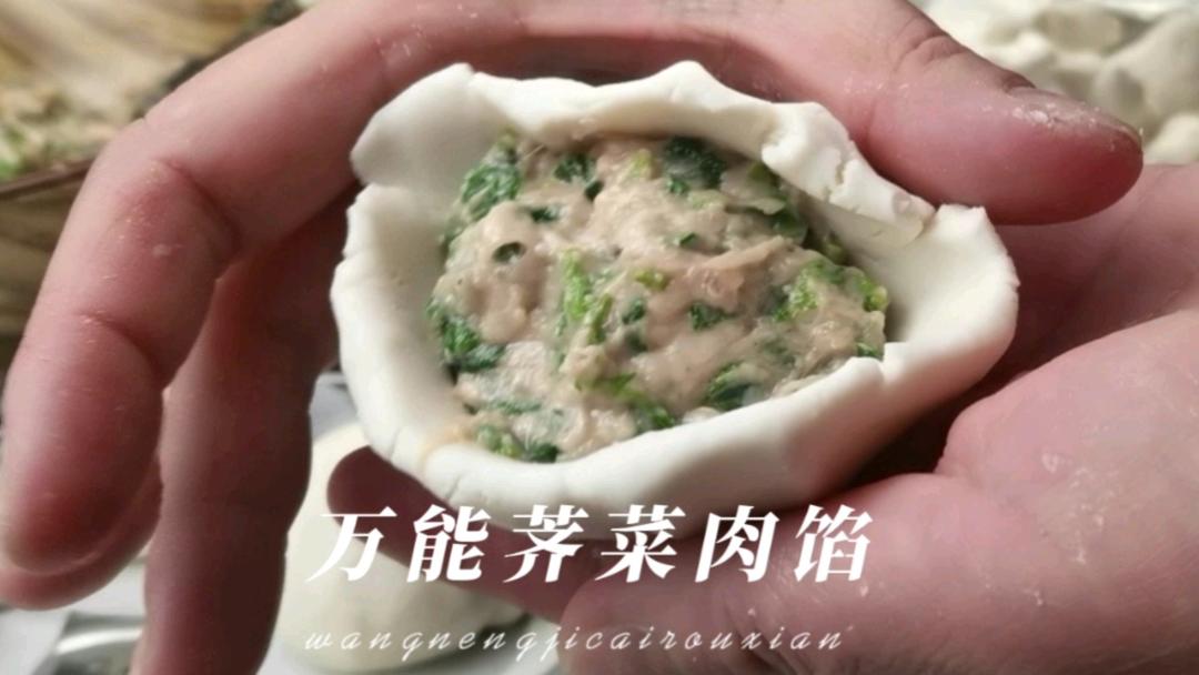 万能荠菜肉馅 ，可包饺子可做汤圆亦可做美味的粿