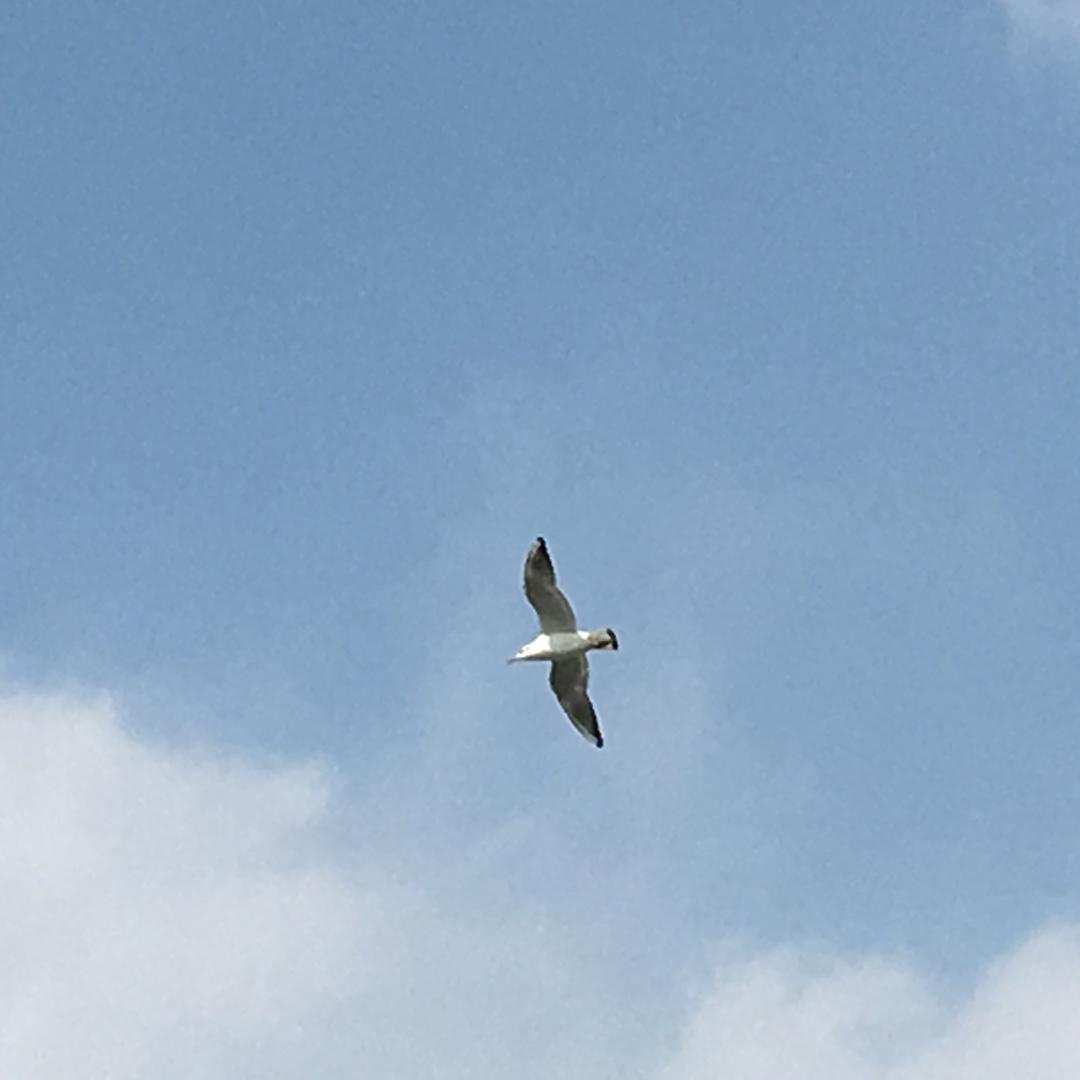 海阔天空000的厨房