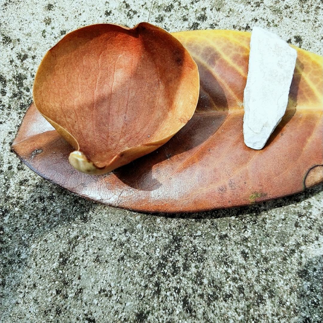 手机用户6620_06u1