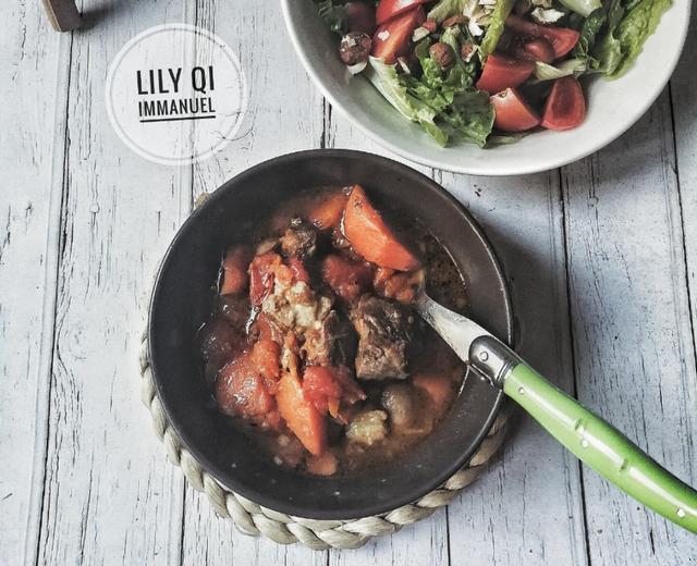 蚂蚁妈妈的炖牛肉的做法