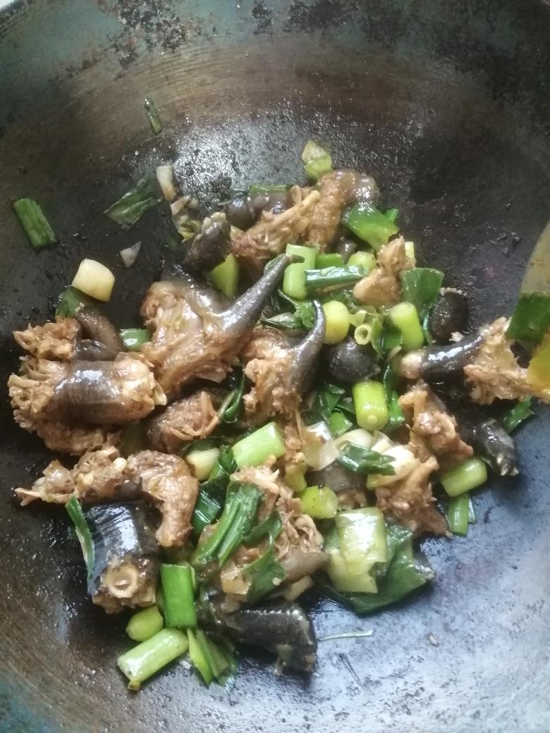 红烧甲鱼