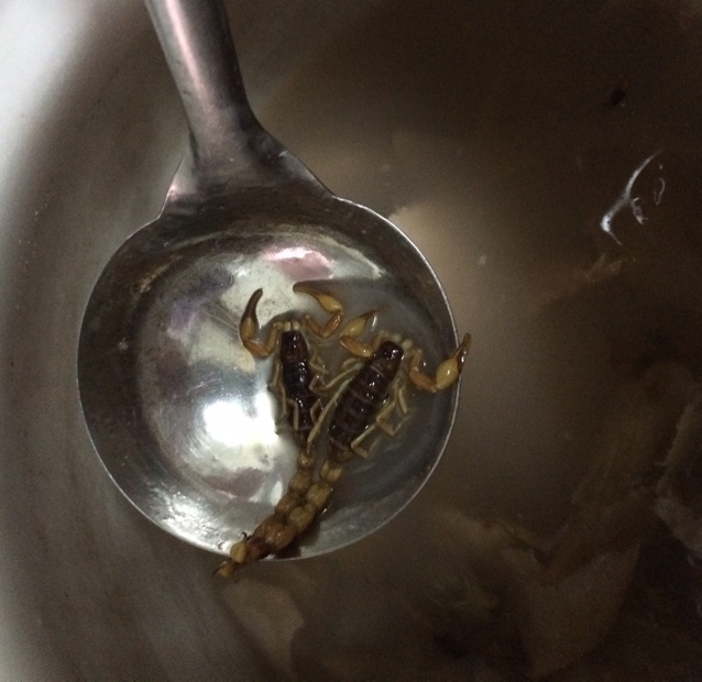 祛湿散结汤——猪骨茯苓蝎子汤