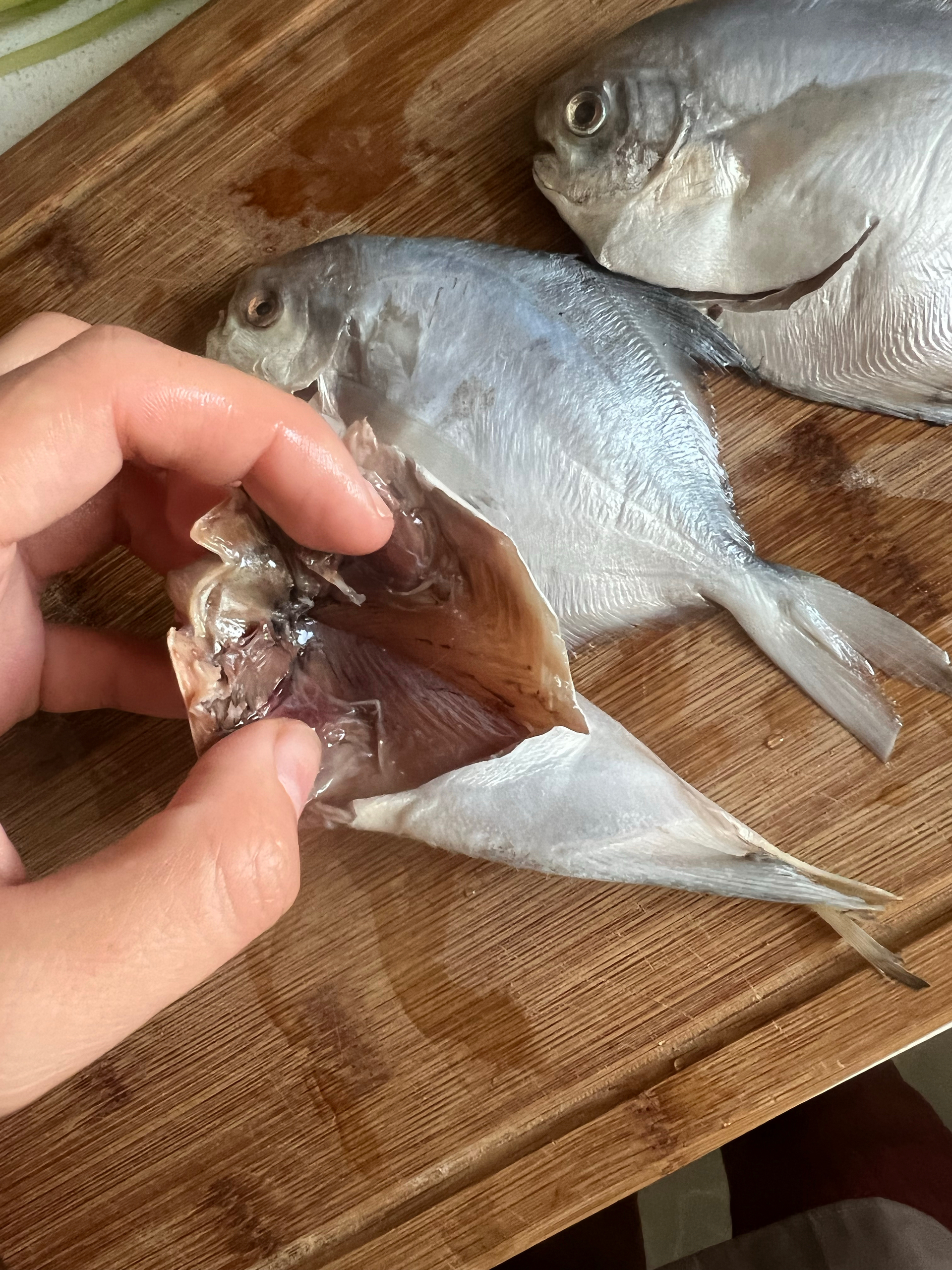 红烧海鲳鱼的做法 步骤2