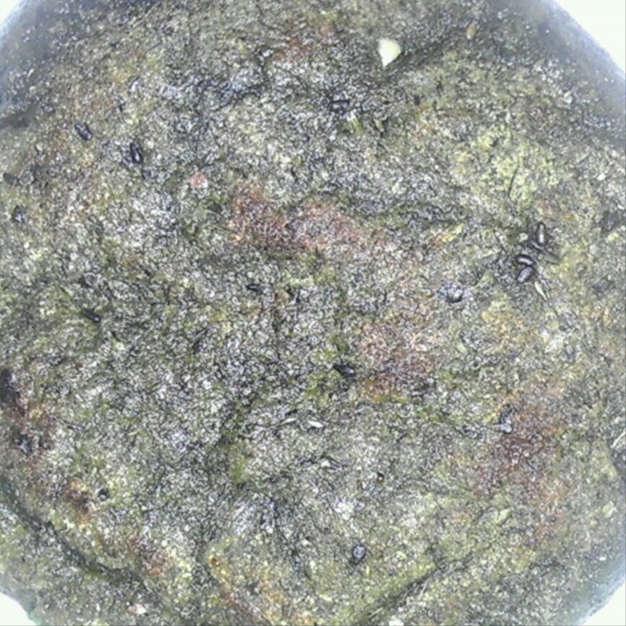 青团