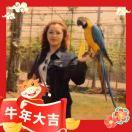 木子沁盈2800_fhsw