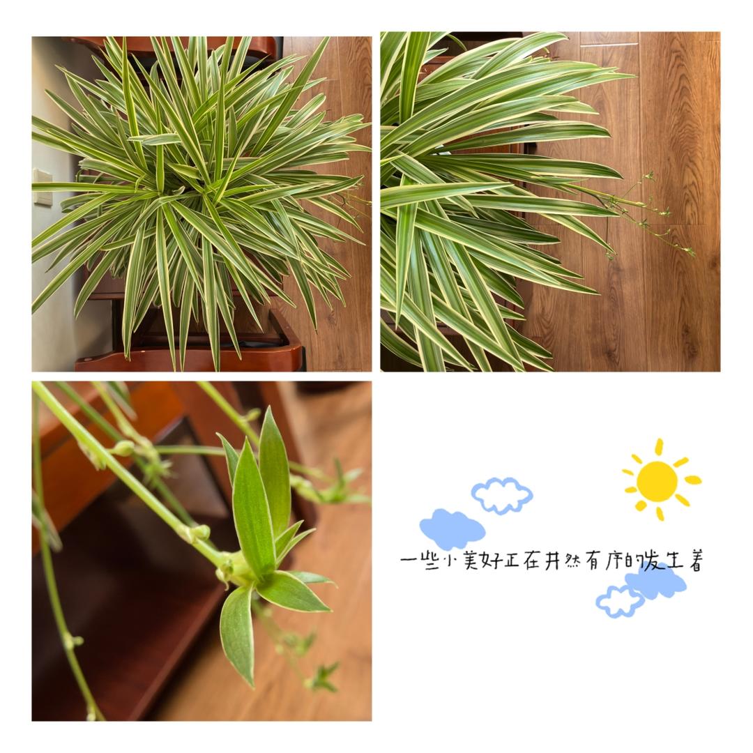 那些小美好