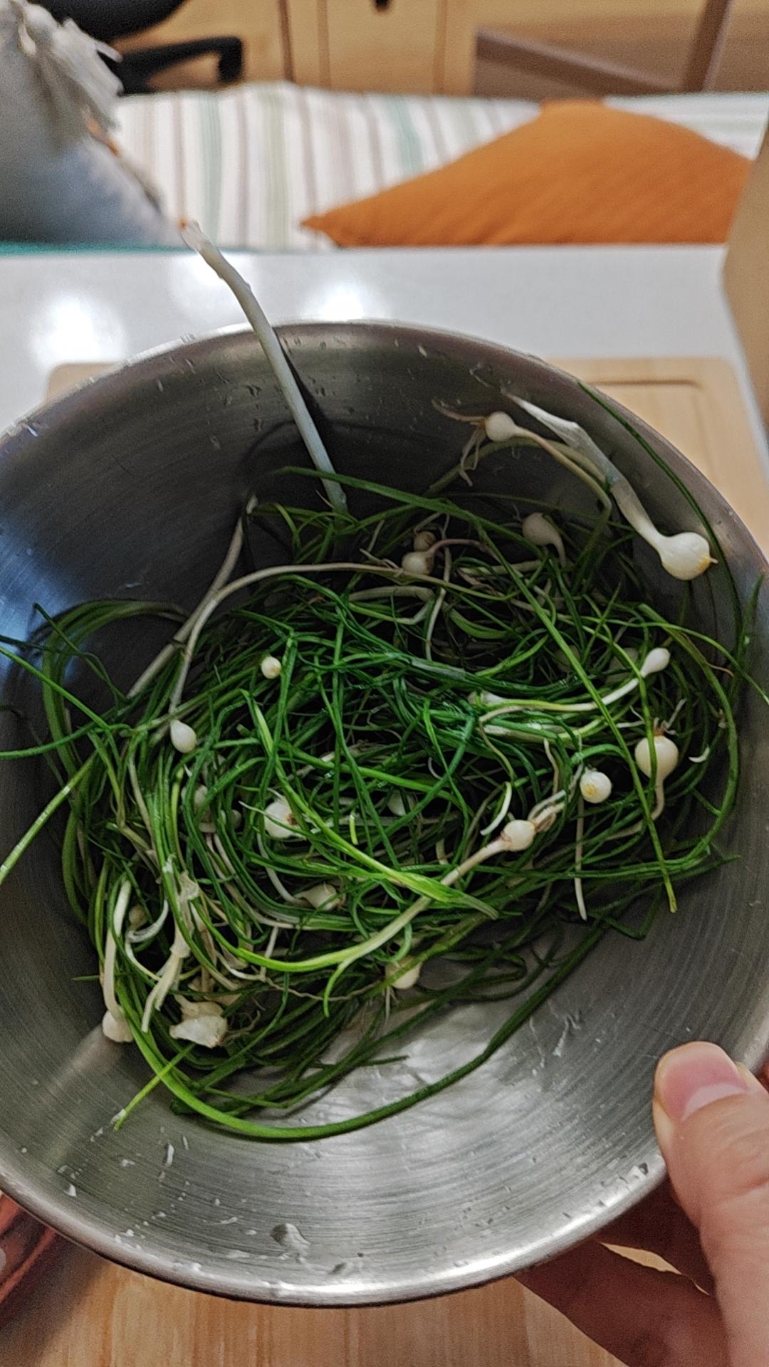 香喷喷的野葱炒蛋